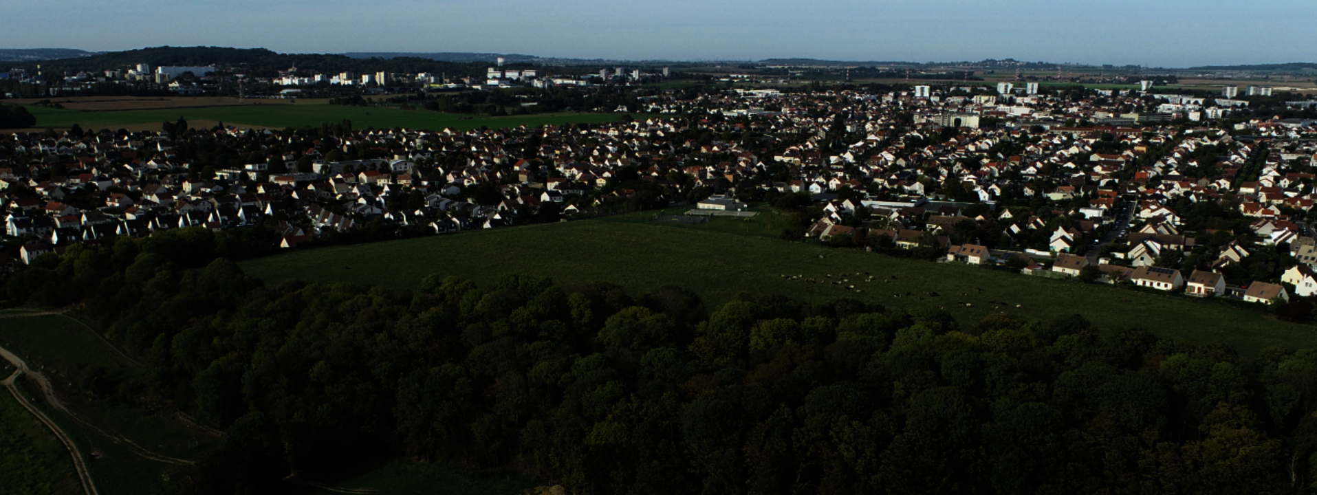 Vue aérienne bois