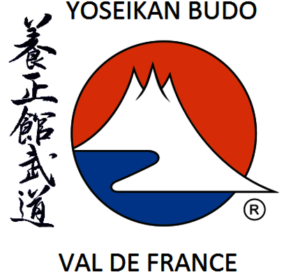 Logo Yoseikan Budo Val-de-France